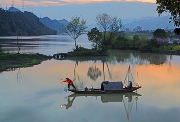 樱花医生