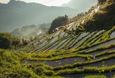 沈泽川和沈兰舟什么关系