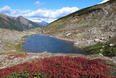 波尔多结衣野