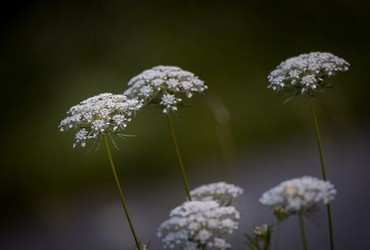 露稳私的头像